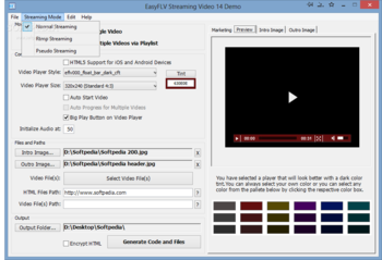 EasyFLV Streaming Video screenshot 2