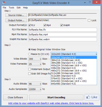 EasyFLV Web Video Encoder screenshot 2