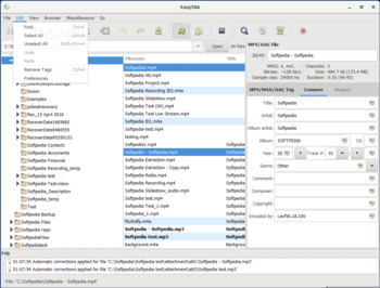 EasyTAG screenshot 4