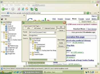 easyWebSave screenshot