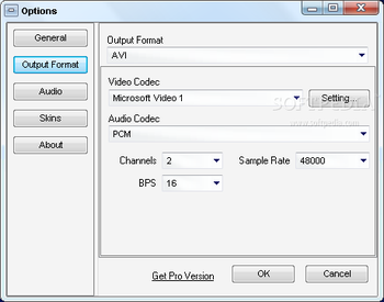 EatCam Webcam Recorder for ICQ screenshot 3