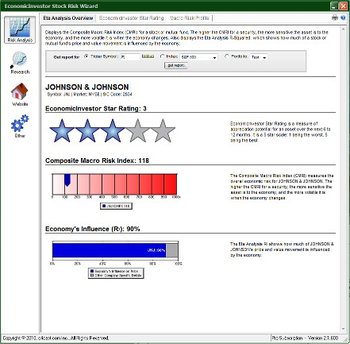EconomicInvestor Stock Risk Wizard screenshot