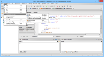 EditiX XML Editor screenshot 3