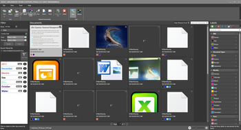 eDoc Organizer screenshot