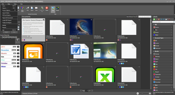 eDoc Organizer screenshot 2
