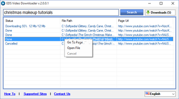 EDS Video Downloader screenshot 2