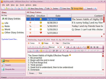 Efficient Diary screenshot 3