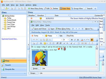 Efficient Diary Portable screenshot 4