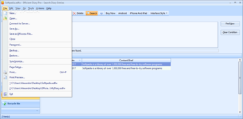 Efficient Diary Pro screenshot 3
