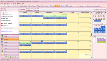 Efficient Lady's Organizer Network screenshot