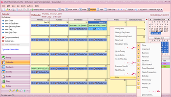 Efficient Lady's Organizer Network screenshot 5