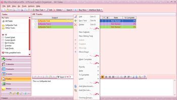 Efficient Lady's Organizer Network screenshot 8