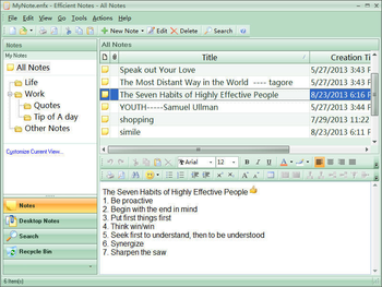 Efficient Notes Portable screenshot