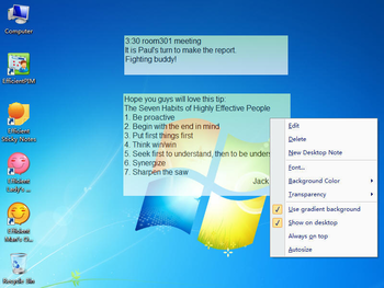 Efficient Sticky Notes Network screenshot