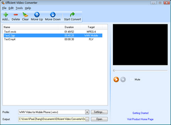Efficient Video Converter screenshot
