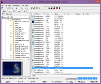 EFM - Etecad File Manager screenshot