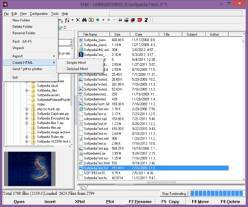 EFM - Etecad File Manager screenshot 2