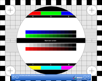 Eizo MonitorTest screenshot 3