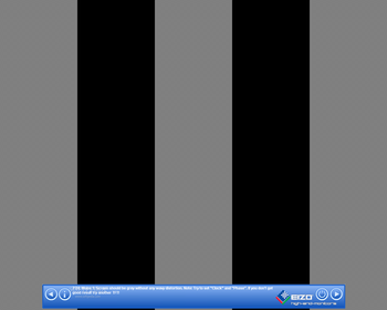 Eizo MonitorTest screenshot 4