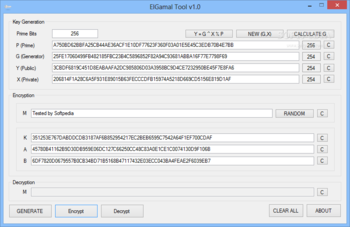 ElGamal Tool screenshot