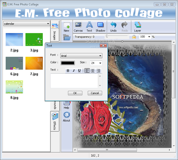 E.M. Free Photo Collage screenshot 3