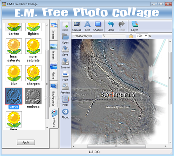 E.M. Free Photo Collage screenshot 4