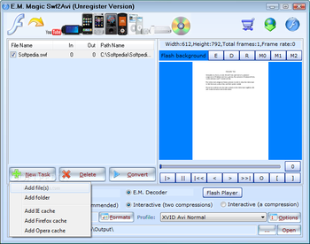 E.M. Magic Swf2Avi screenshot 3
