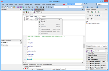 Embarcadero C++Builder XE8 screenshot 3