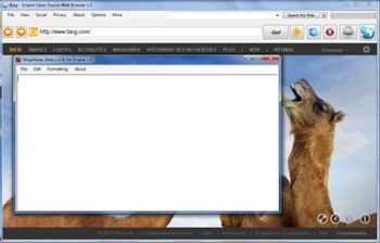 Empire Browser screenshot 2