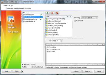 EMS Data Import for SQL Server screenshot 3