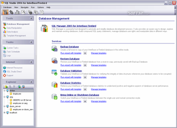 EMS SQL Management Studio for InterBase/Firebird screenshot 3