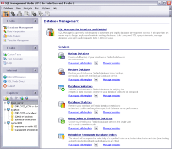 EMS SQL Management Studio for InterBase/Firebird screenshot