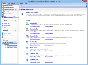 EMS SQL Management Studio for MySQL screenshot 13