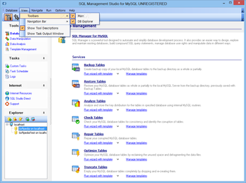 EMS SQL Management Studio for MySQL screenshot 14
