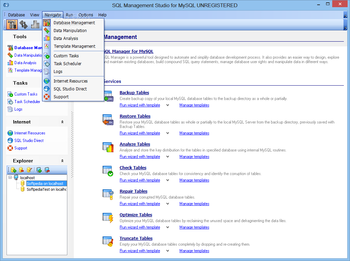 EMS SQL Management Studio for MySQL screenshot 15