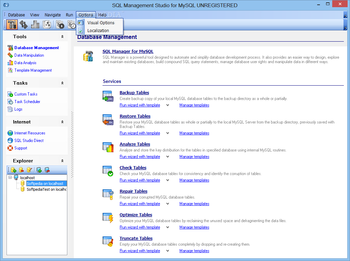 EMS SQL Management Studio for MySQL screenshot 17