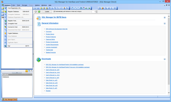EMS SQL Manager for InterBase and Firebird screenshot 2