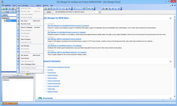 EMS SQL Manager for InterBase and Firebird screenshot 4