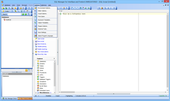 EMS SQL Manager for InterBase and Firebird screenshot 5