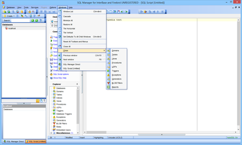 EMS SQL Manager for InterBase and Firebird screenshot 6