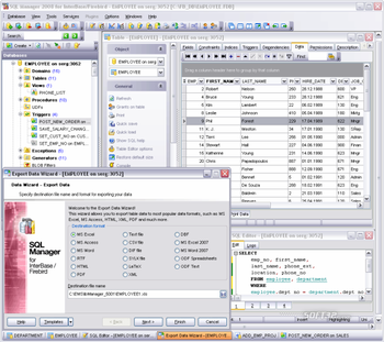 EMS SQL Manager for InterBase/Firebird screenshot 2