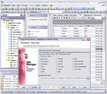 EMS SQL Manager for InterBase/Firebird Freeware screenshot 2