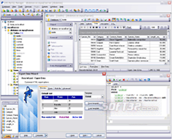 EMS SQL Manager for MySQL screenshot