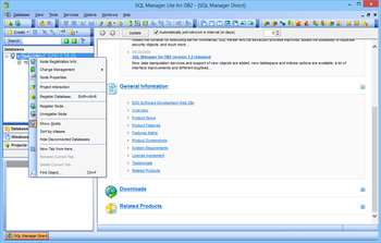 EMS SQL Manager Lite for DB2 screenshot
