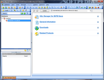 EMS SQL Manager Lite for InterBase and Firebird screenshot