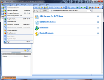 EMS SQL Manager Lite for InterBase and Firebird screenshot 2