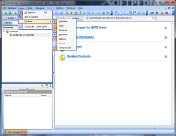 EMS SQL Manager Lite for InterBase and Firebird screenshot 3