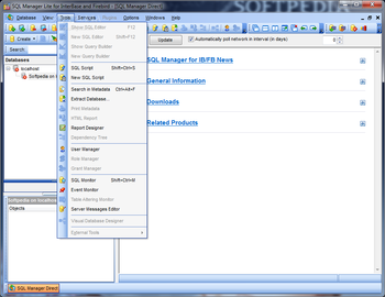 EMS SQL Manager Lite for InterBase and Firebird screenshot 4