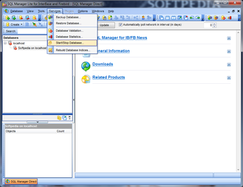 EMS SQL Manager Lite for InterBase and Firebird screenshot 5