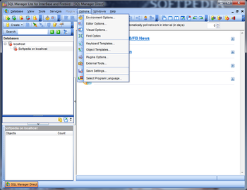 EMS SQL Manager Lite for InterBase and Firebird screenshot 6